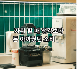 자취 후 사용하지 않아 돈이 아깝게 느껴졌던 소비들의 공통점을 정리한 글