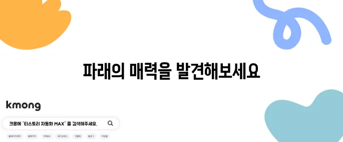 파래무침 레시피와 파래초무침 만드는 법, 다양한 파래요리 소개합니다!