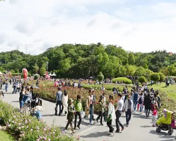 울산대공원 장미축제_28