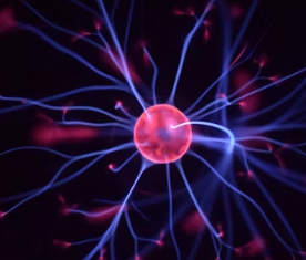 포스파티딜 세린 효능 음식 추천 부작용