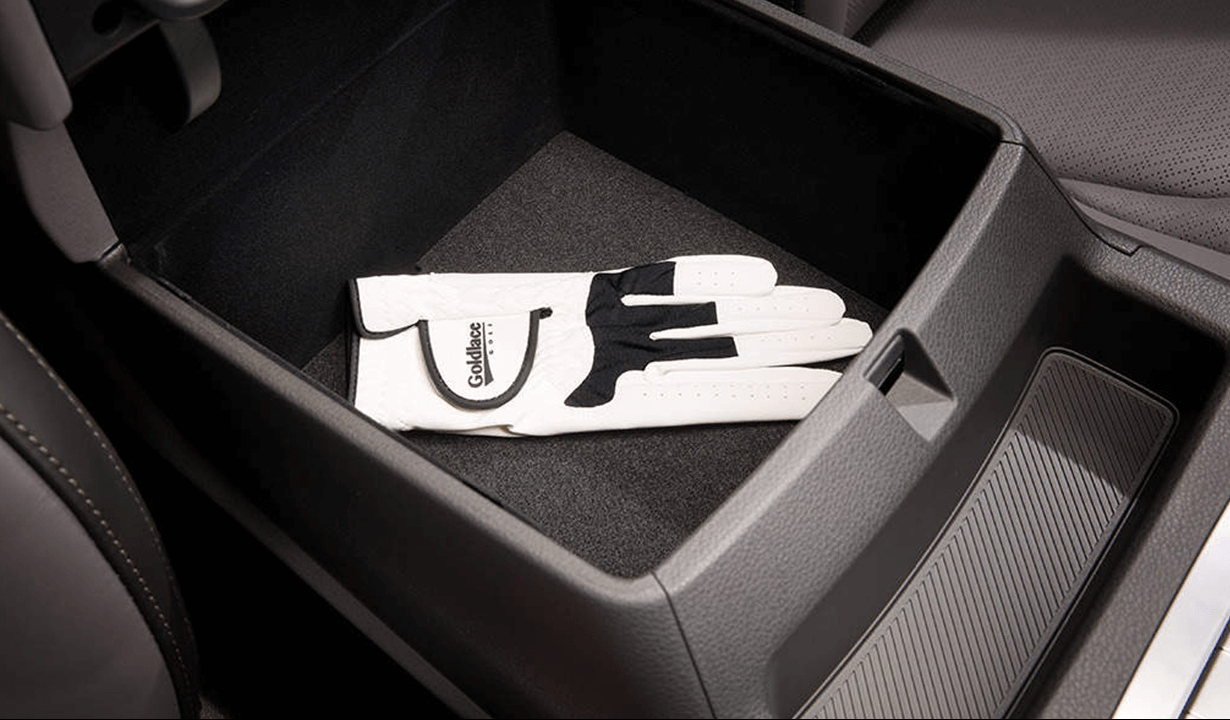 카니발 하이브리드