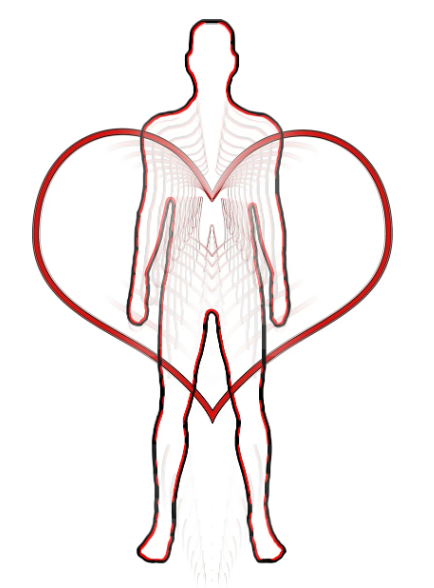 혈액순환에 좋은 식습관, 건강한 몸의 기본을 만드는 식사법