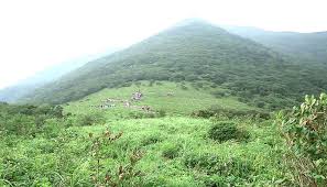 여름에 걷기 좋은 숲길 10