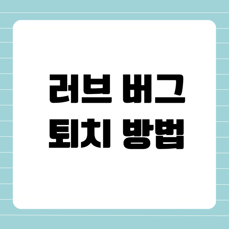 러브 버그 퇴치 방법 및 출몰 시기