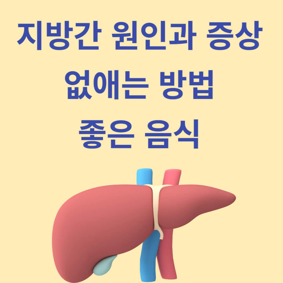 지방간 원인과 증상&#44; 없애는 법과 좋은 음식은?