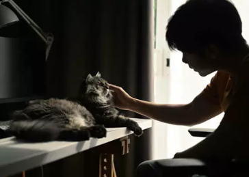 고양이와 여자