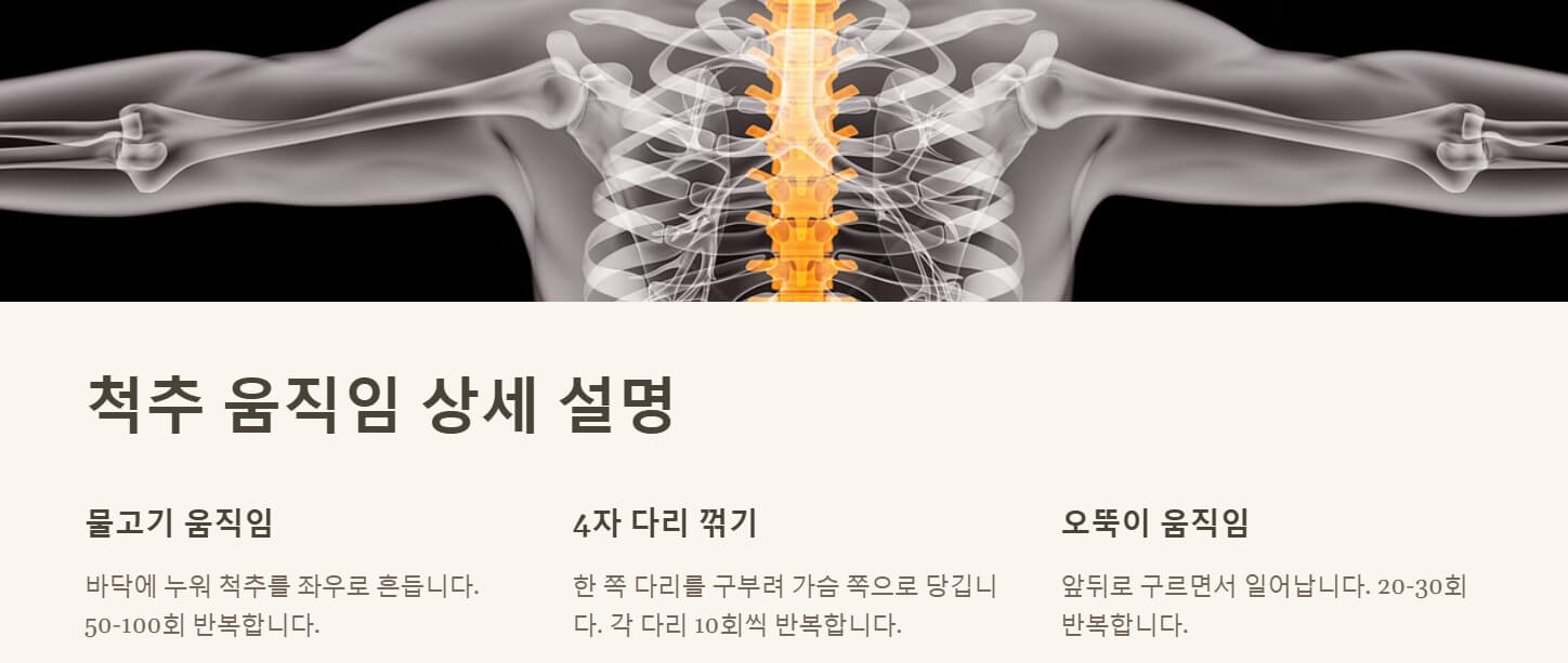 허리 아플때 좋은 운동