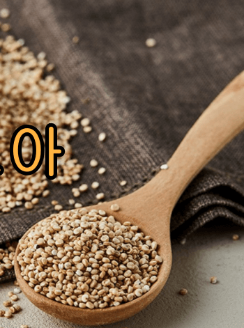 혈당_GI지수_낮은_ 쌀