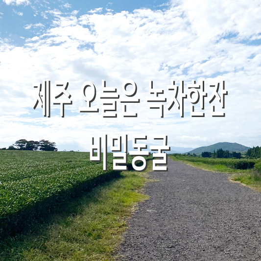 녹차한잔