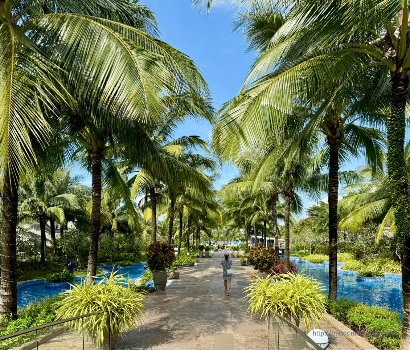 푸꾸옥 베스트 웨스턴 프리미어 소나씨. Best Western Premier Sonasea Phu Quoc.