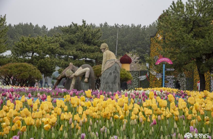 2026년 최신판 전국 봄 꽃 축제 추천 8곳