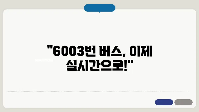 6003번 공항버스 시간표