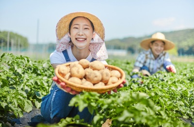 농지연금