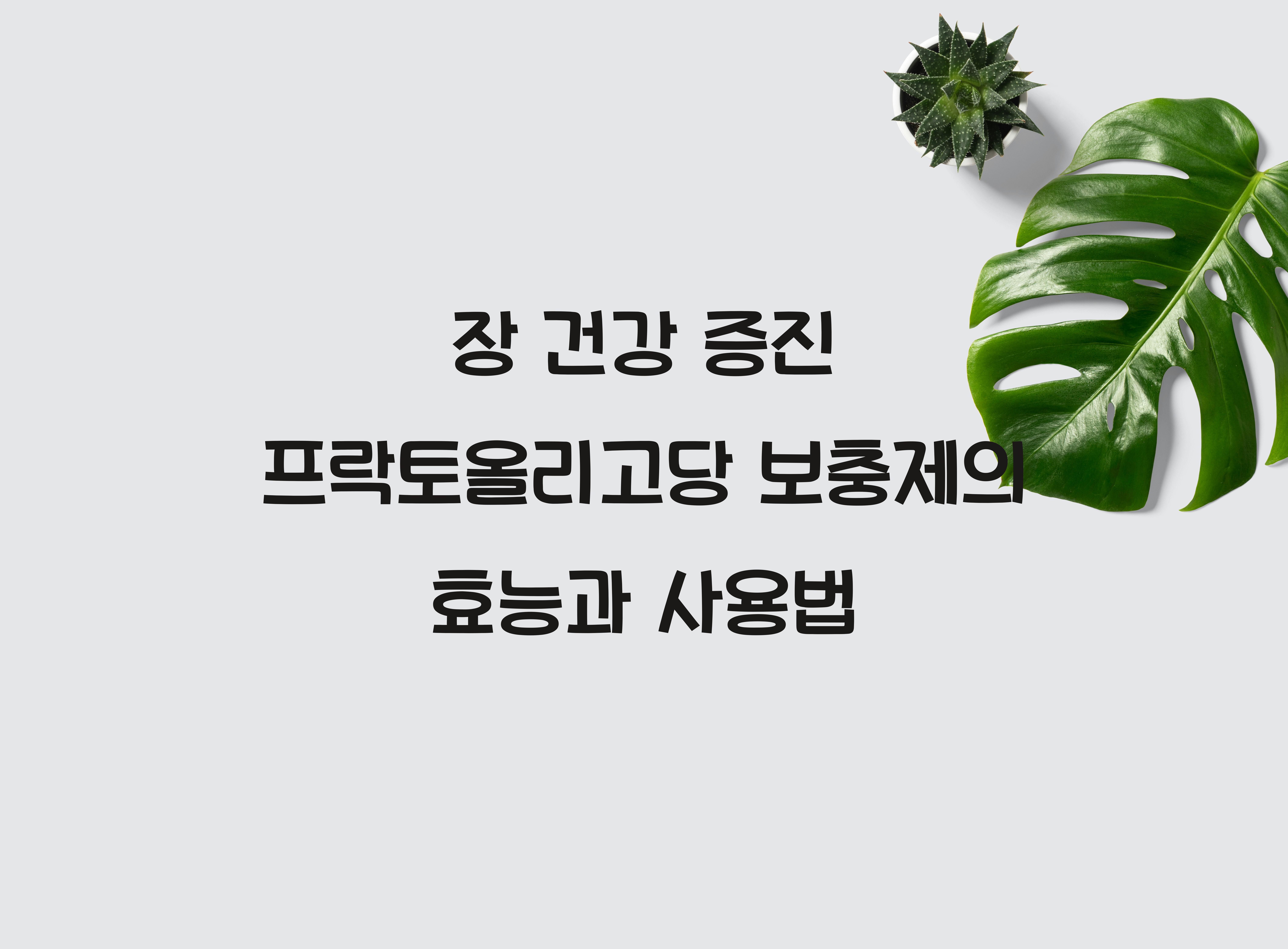 장 건강 증진 프락토올리고당 보충제