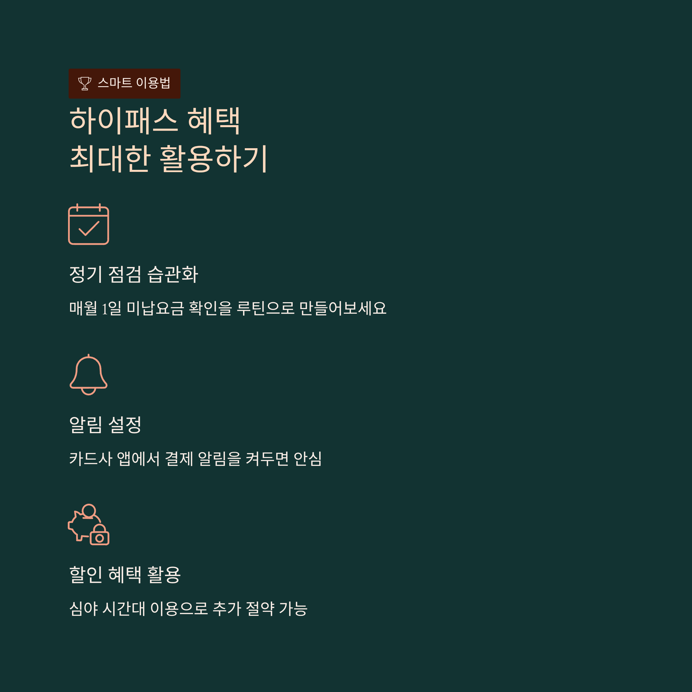 고속도로 하이패스 미납