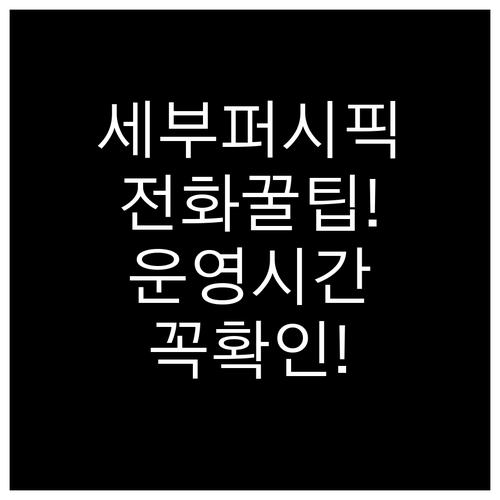 세부퍼시픽항공 고객센터 02-6105..