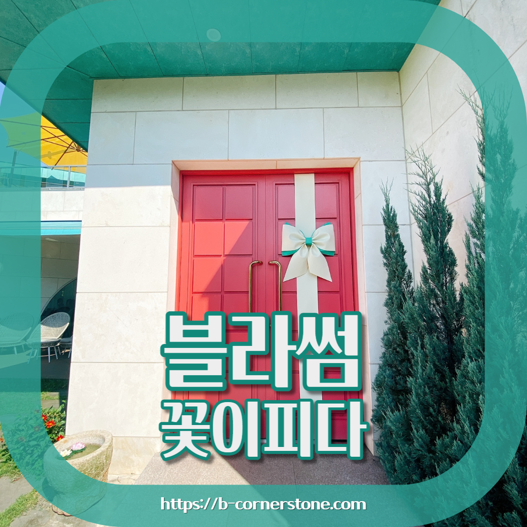 제주 서귀포 블라썸 꽃이피다 카페 인생샷 맛집