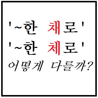 '~한 채로', '~한 체로' 어떻게 다를까?