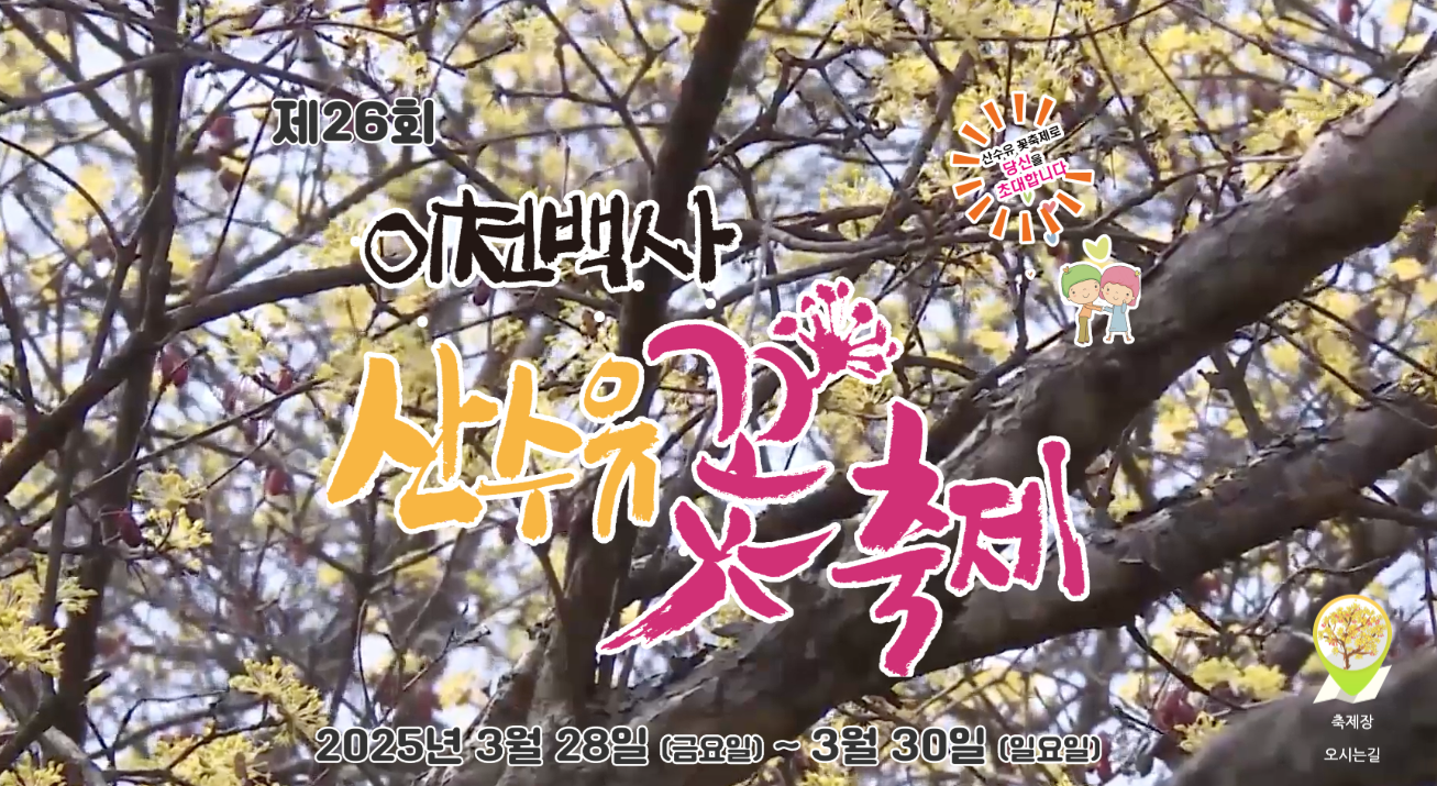 이천 산수유 축제 개화 시기 일정 교통편 맛집 카페 봄꽃축제 경기도 벚꽃 명소 미리보기