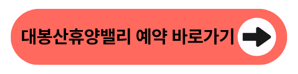 대봉산휴양밸리 예약 바로가기