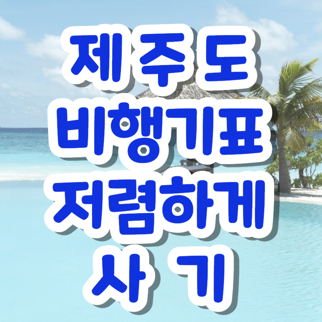 제주도 비행기표 저럼하게 구입하기