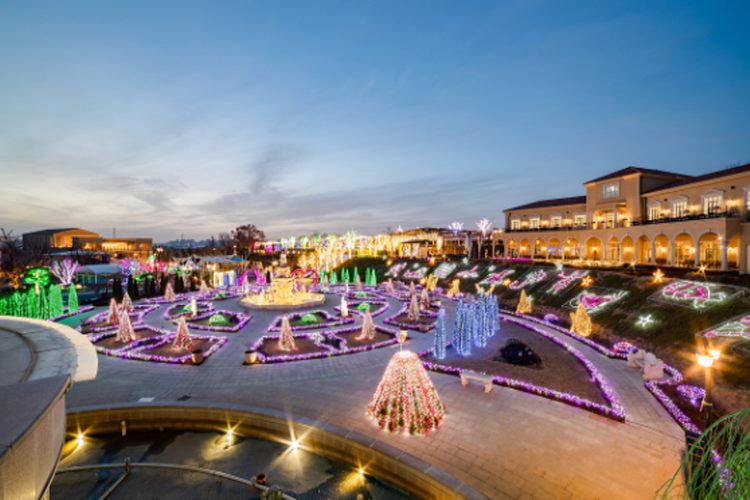 퍼스트가든 별빛축제