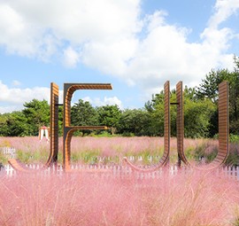 휴애리 핑크뮬리 축제