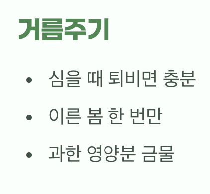 과한 사랑은 금물, '물과 거름주기'
