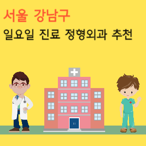서울 강남구 일요일 진료 정형외과 추천