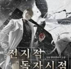 전지적 독자 시점