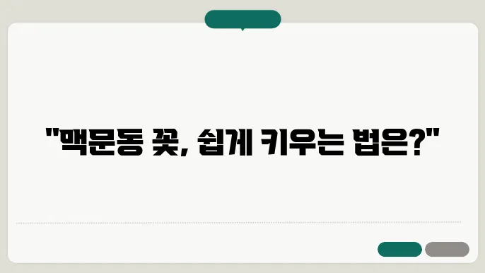 맥문동 꽃 재배방법 가격 씨앗 파종에 대해 알아보기