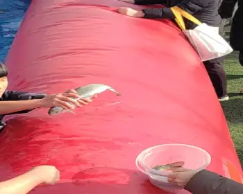 양평 수미마을 빙송어축제_10