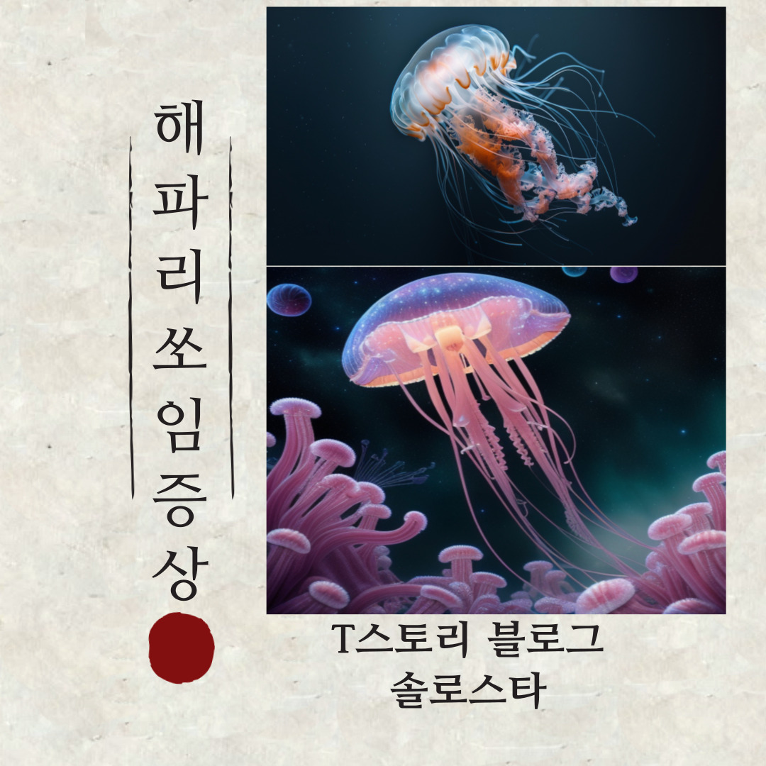 해파리사진 해파리 그림
