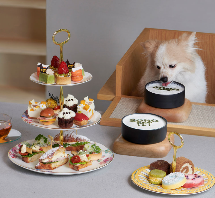 펫캉스 가능한 호텔 BEST 5