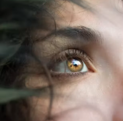 공심채 효능 부작용 고르는법 칼로리 다연채 모닝글로리