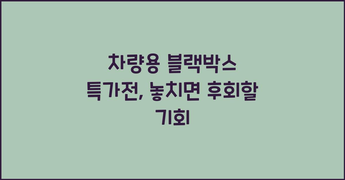 차량용 블랙박스 특가전