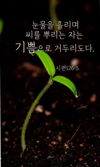 시편 126편 5 6절 씨뿌리는 자_18