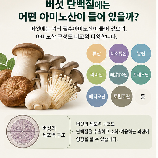 버섯 단백질을 이루는 여러 아미노산과 버섯 세포벽 구조
