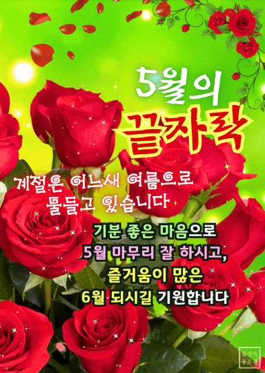 5월 끝자락 인사말 이미지