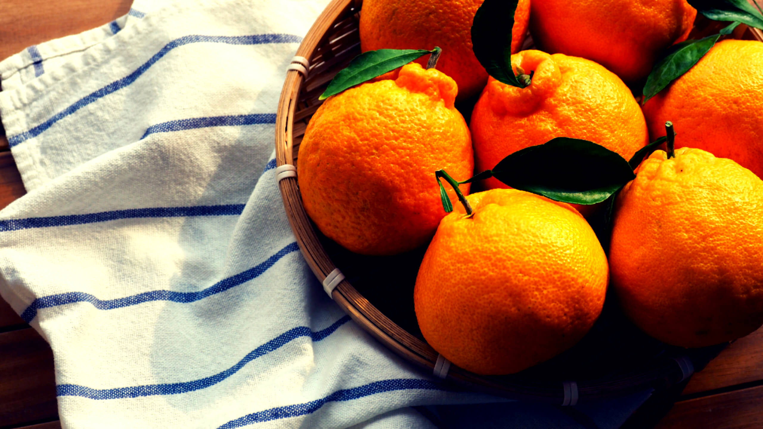 체지방 축적을 억제하는 한라봉