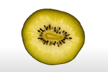 골드키위-생김새-색깔