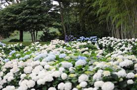 2026 휴애리 운영시간 완벽 정리