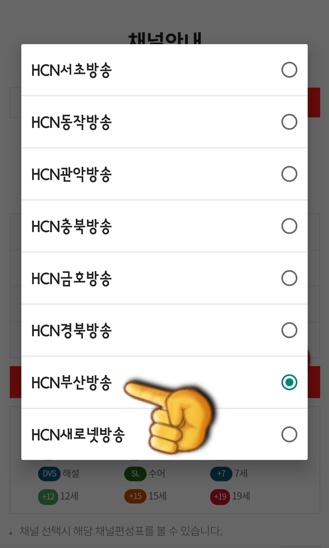 KT-HCN-부산방송-채널번호-및-편성표-확인-방법-안내-그다음&amp;#44;-지역-방송국을-HCN부산방송&amp;#44;-방송-선택도-다시-선택한-후&amp;#44;-원하는-방송-장르를-선택하면-되는데요.