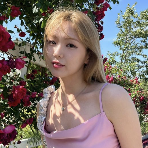 딥앤댑 멤버 미나명, 다우니, 쏠, 락커지, 미니팍, 구슬 소개 : 스우파 2_락커지