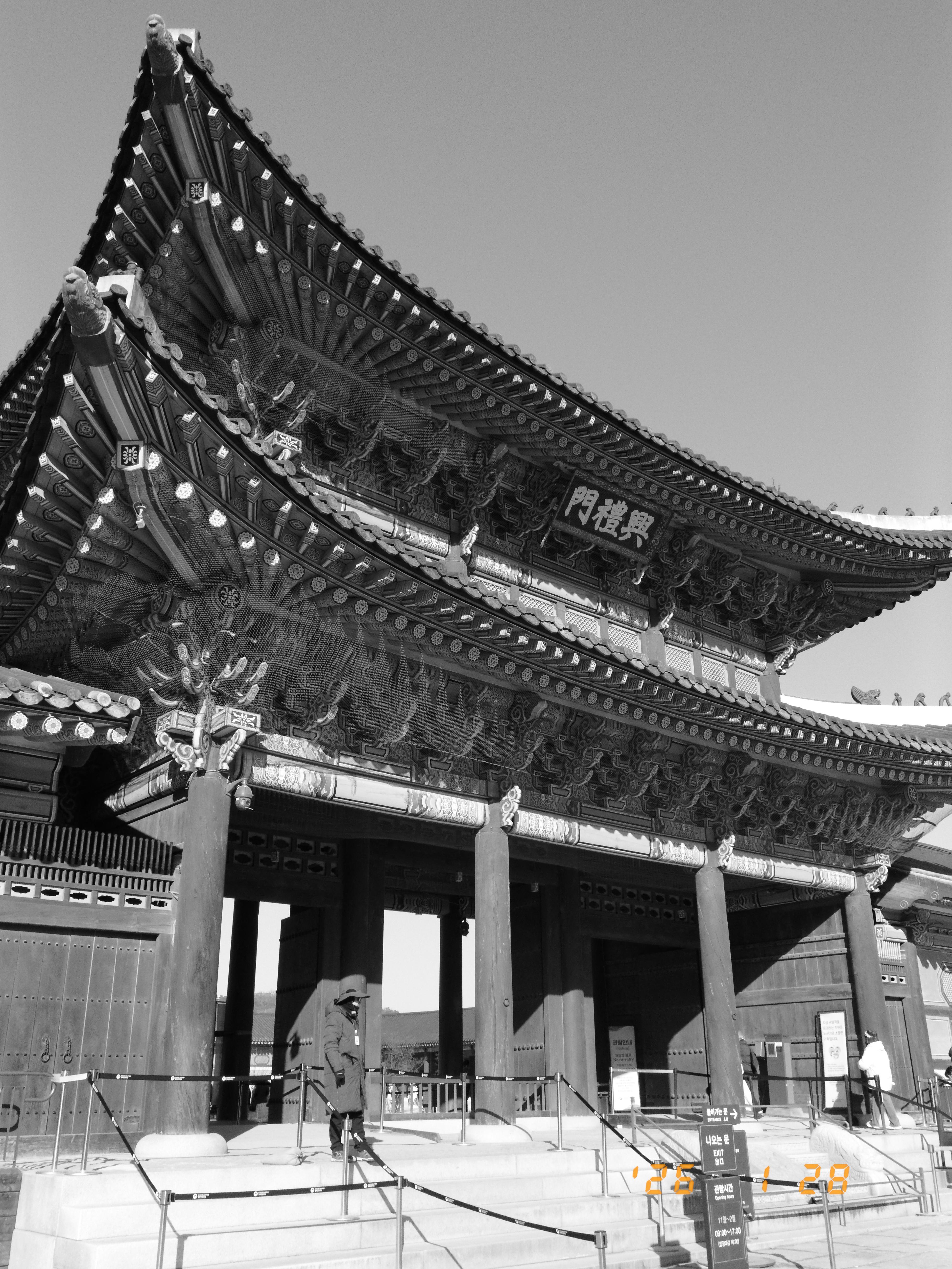 후지 X-하프 디카