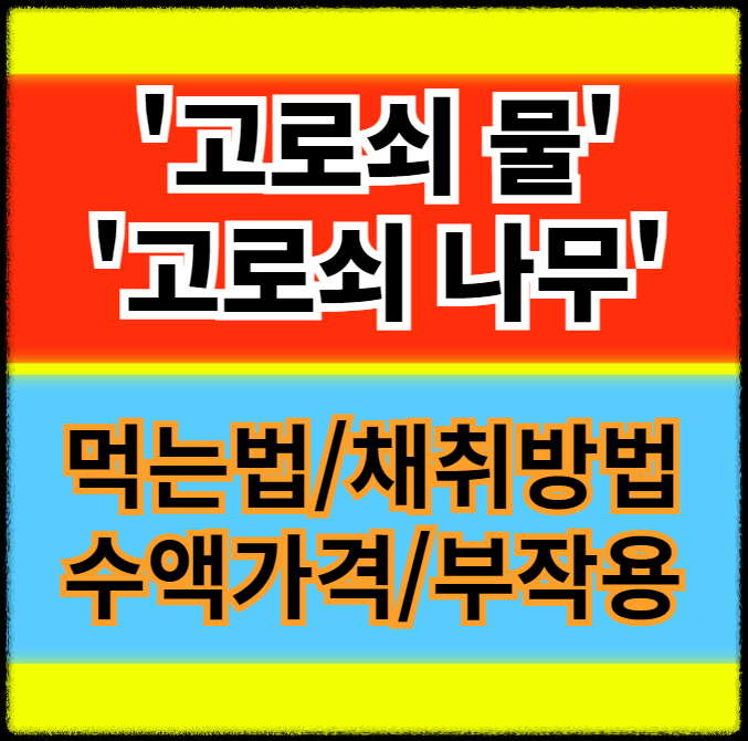 고로쇠물 먹는법