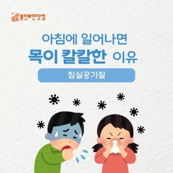 침실 공기질 환기 가습 식물 침구먼지 줄이는 생활습관_3