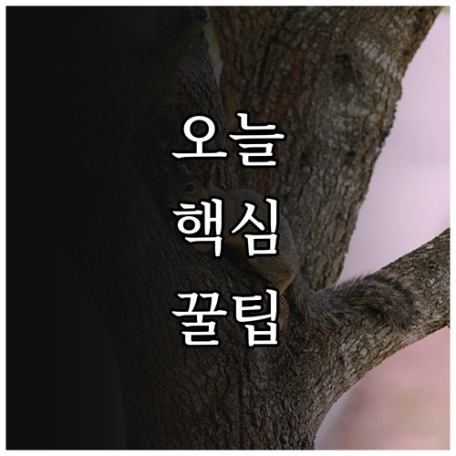 2025 수원시 국가유공자 복지 지원..