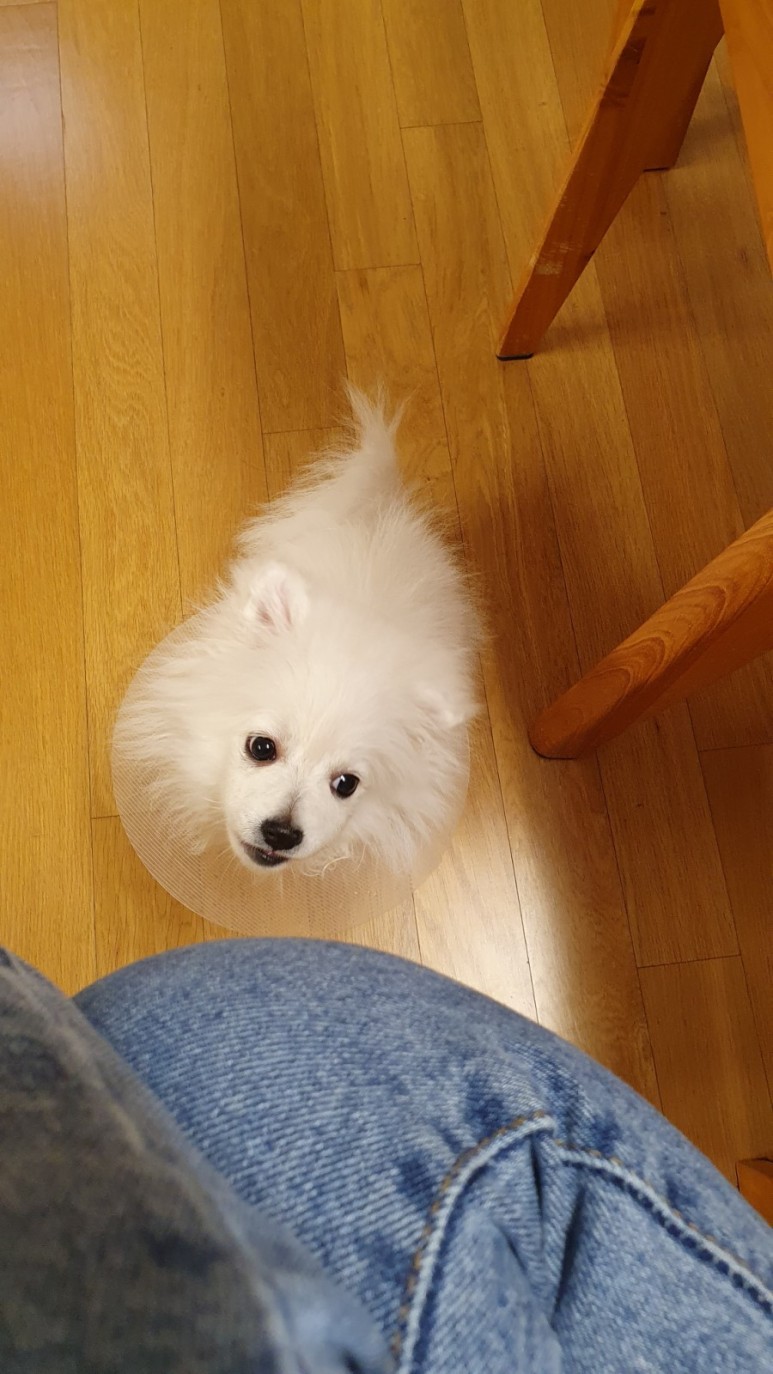 접종부작용 2
