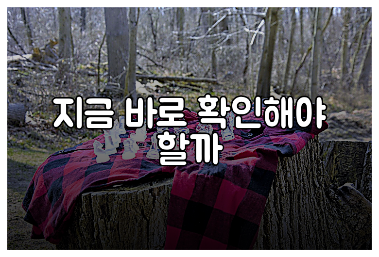 지금 바로 확인해야 할까